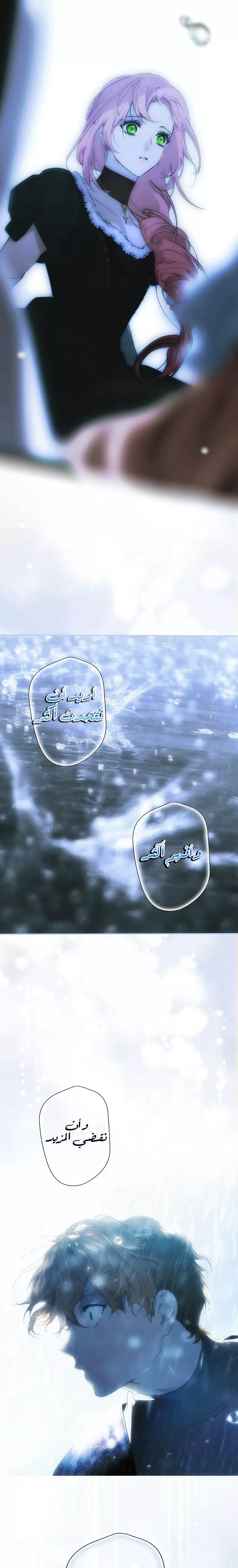 الصفحة 25