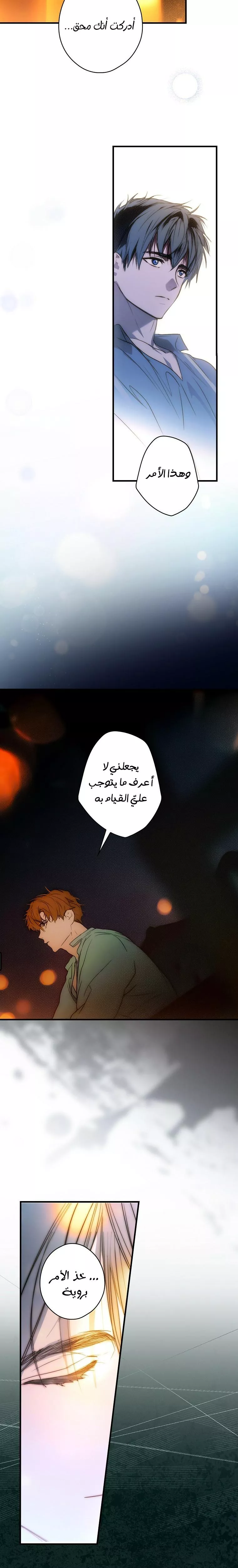 الصفحة 17