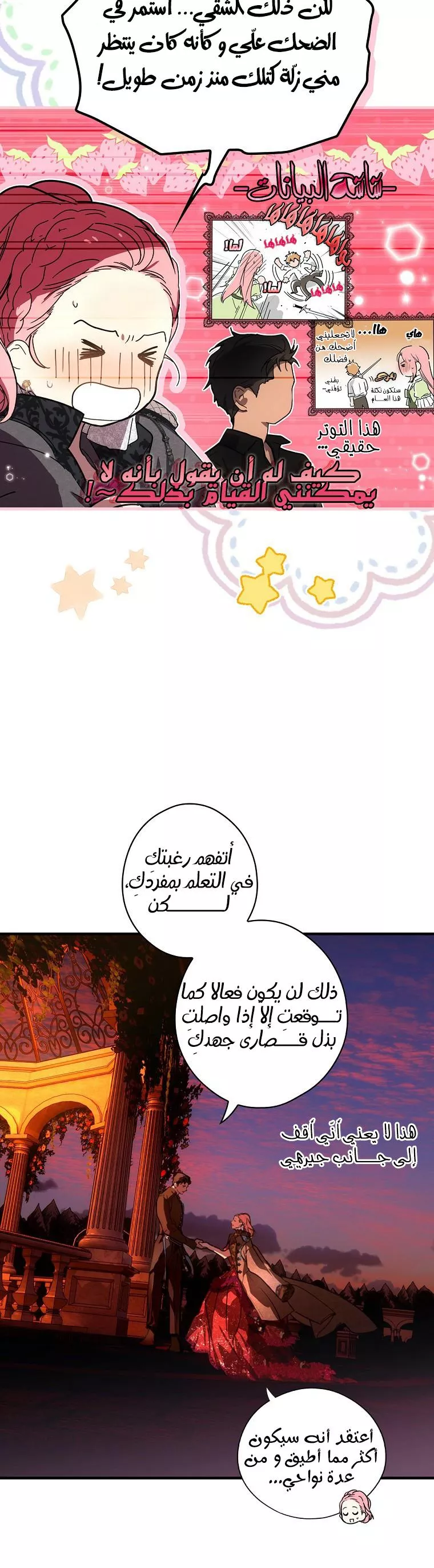 الصفحة 24