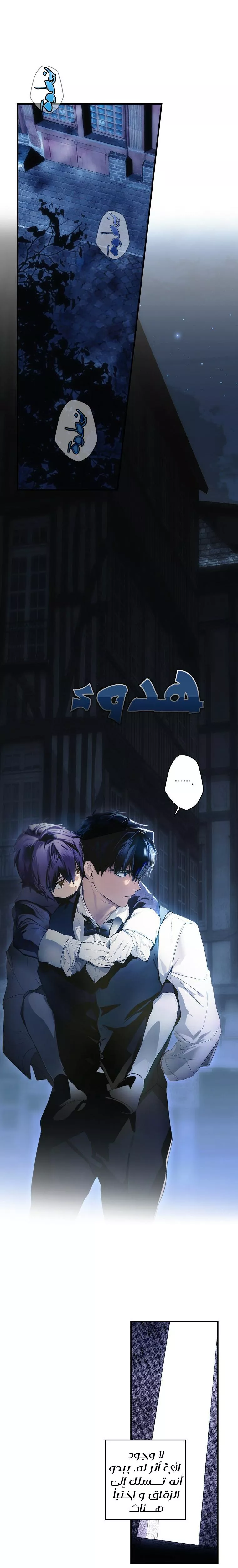 الصفحة 11