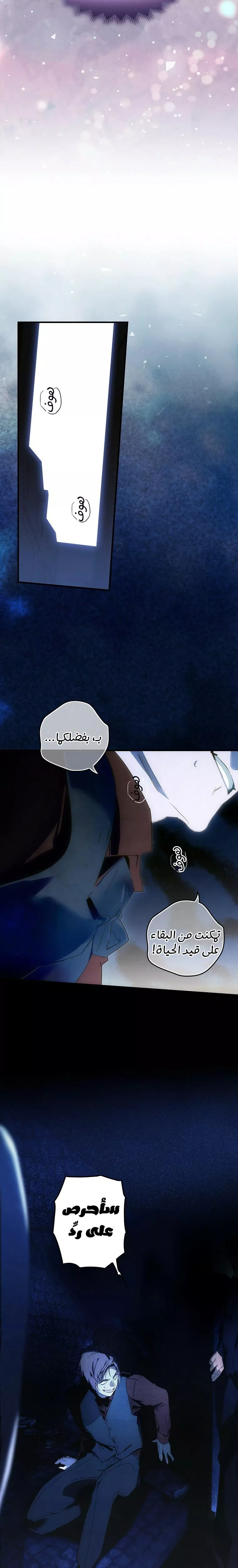 الصفحة 20