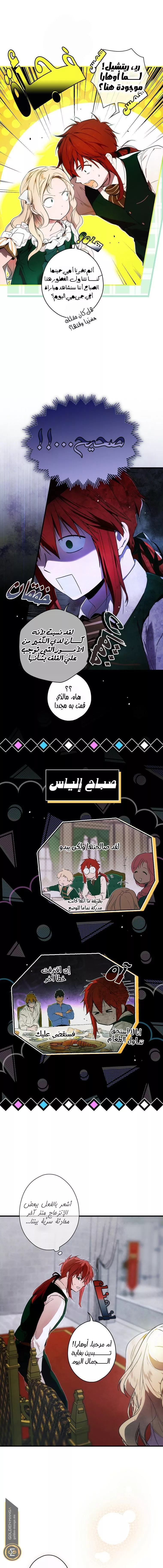 الصفحة 3
