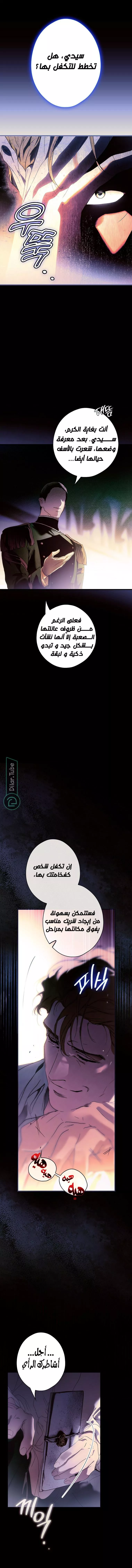 الصفحة 12