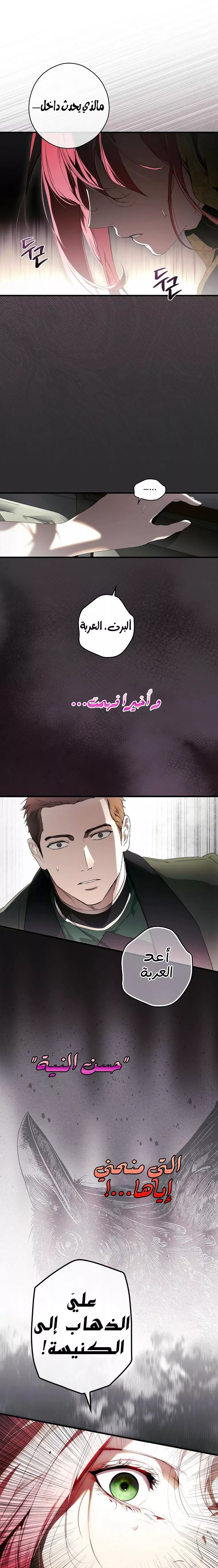 الصفحة 24