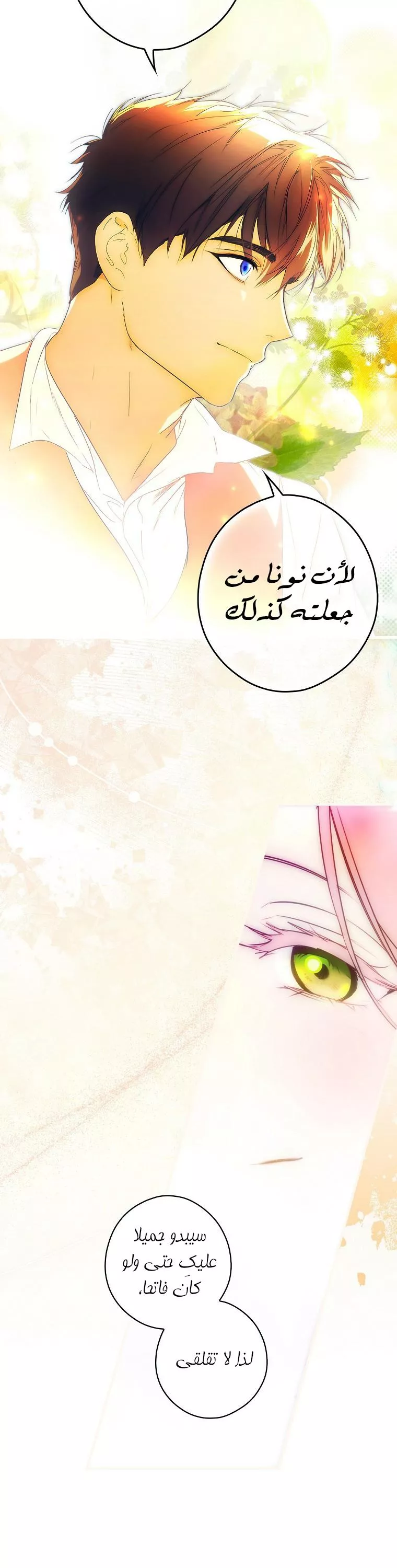 الصفحة 29