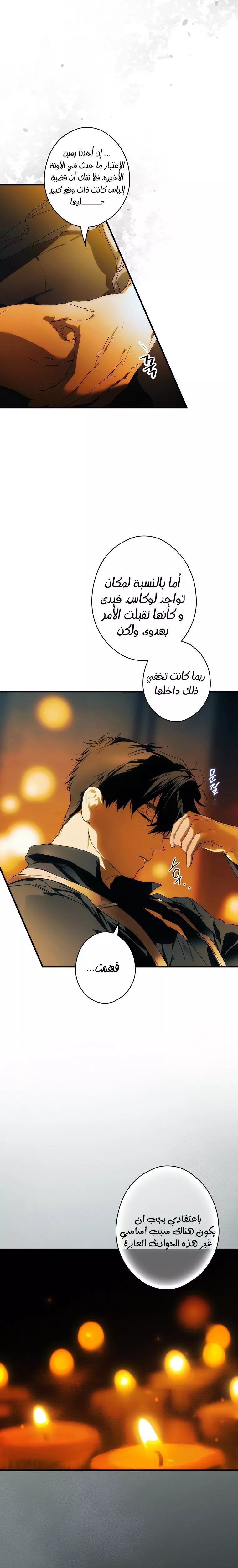الصفحة 25