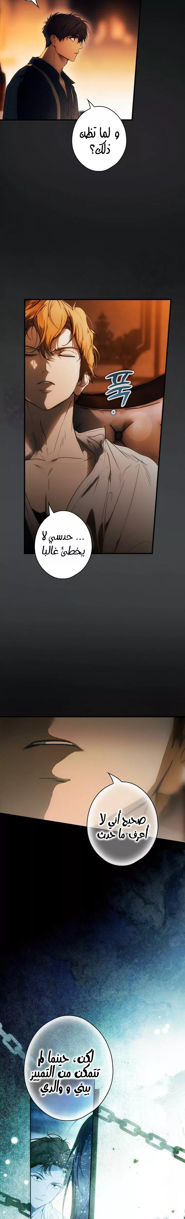 الصفحة 29