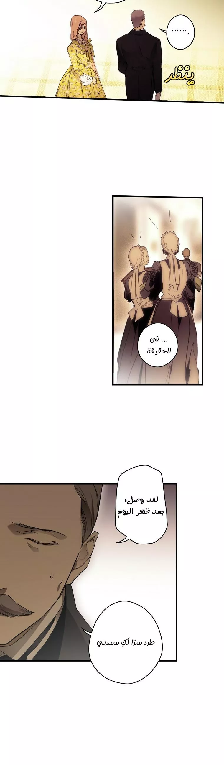 الصفحة 14