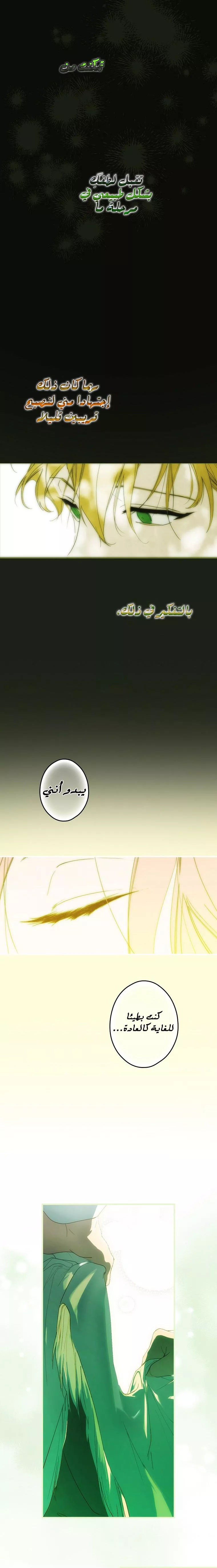 الصفحة 21