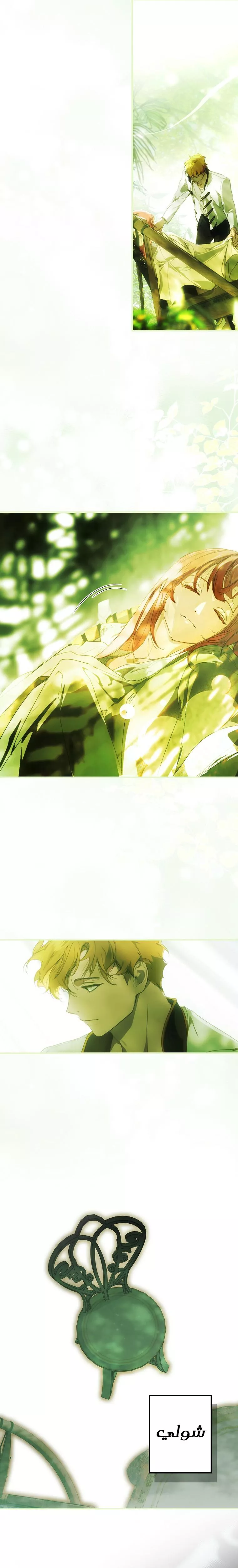 الصفحة 22