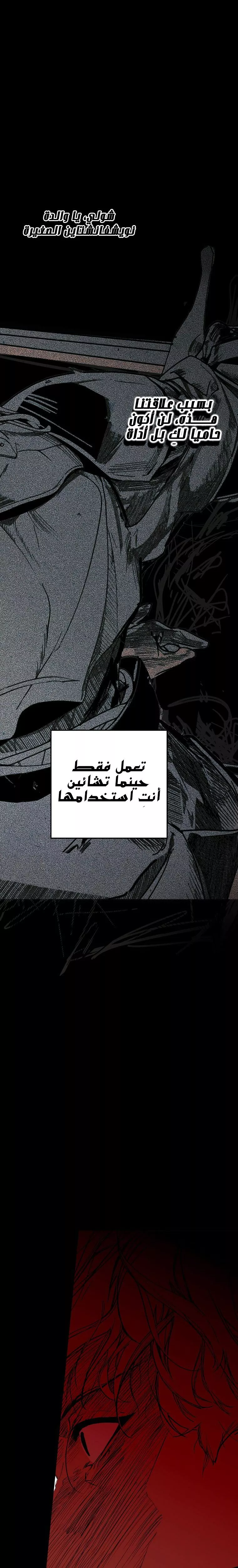 الصفحة 25