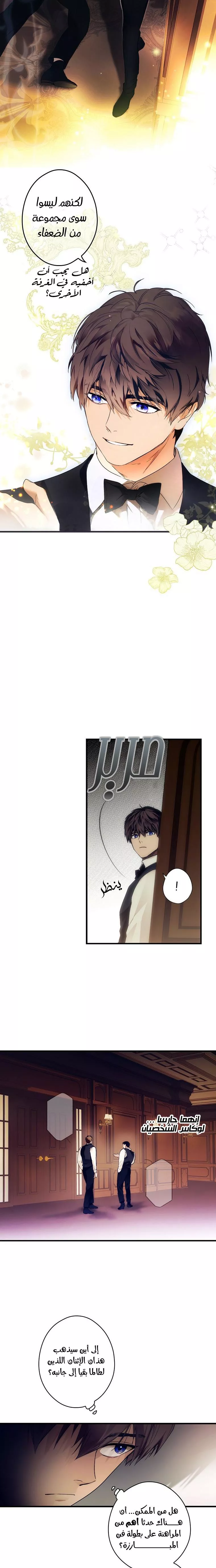 الصفحة 7