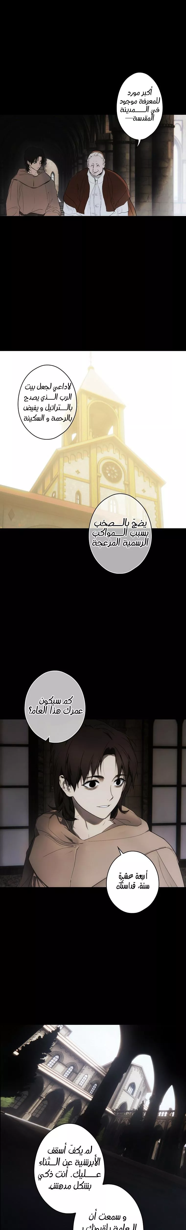 الصفحة 13