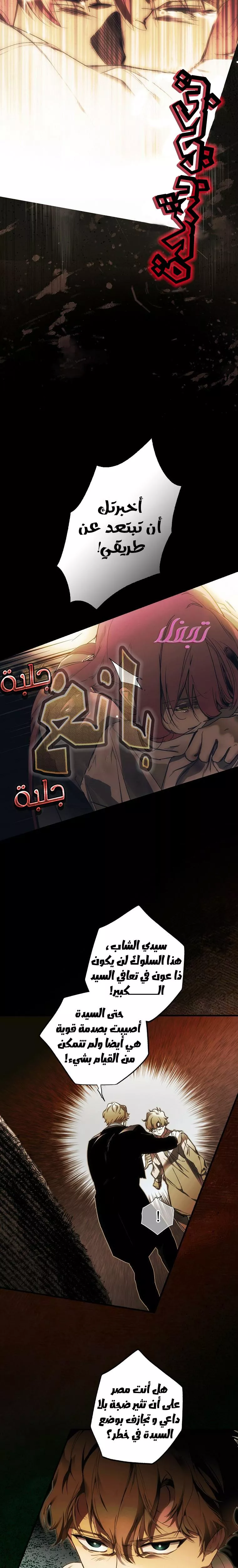 الصفحة 27