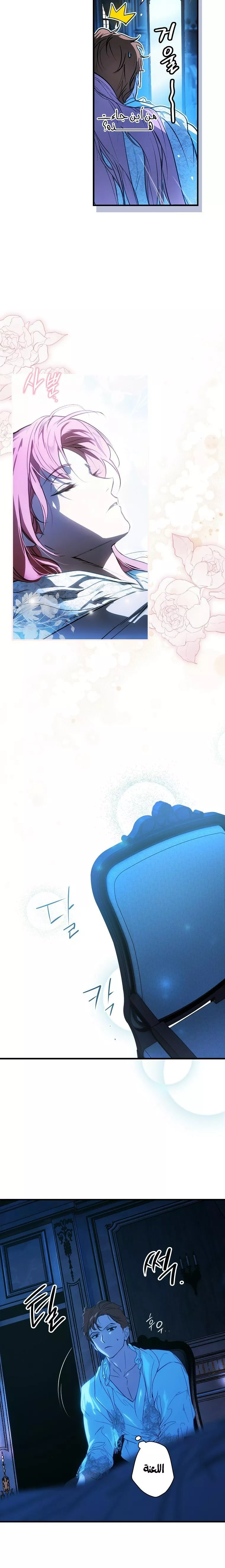 الصفحة 19