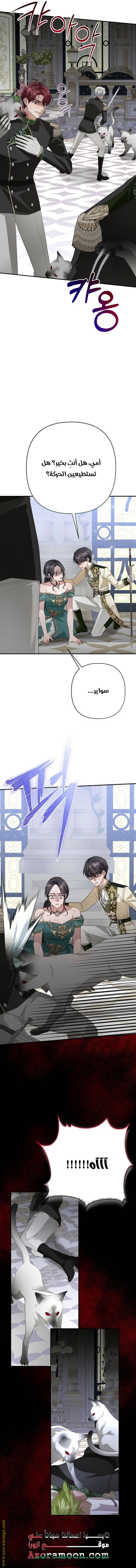 الصفحة 8