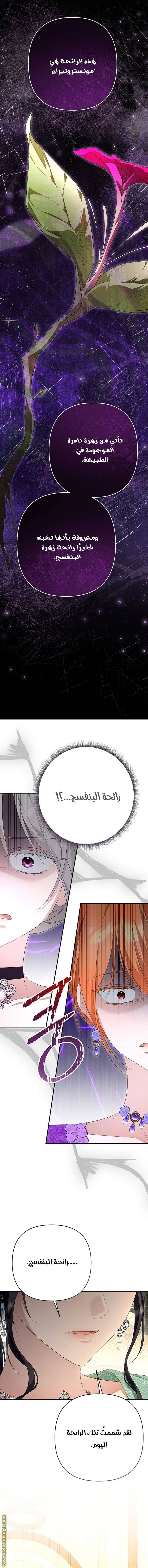 الصفحة 17