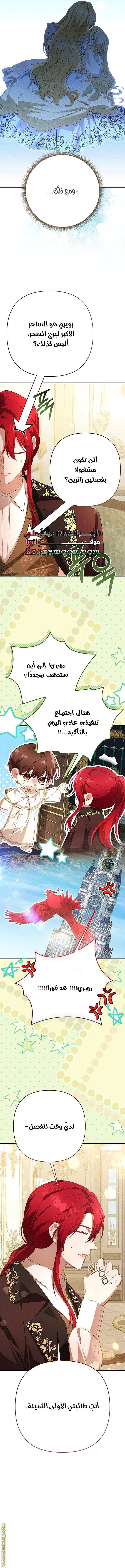 الصفحة 8