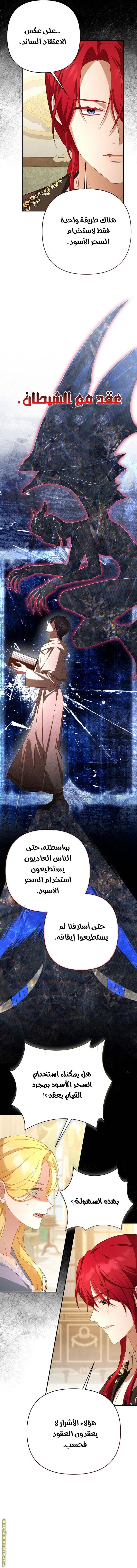 الصفحة 13