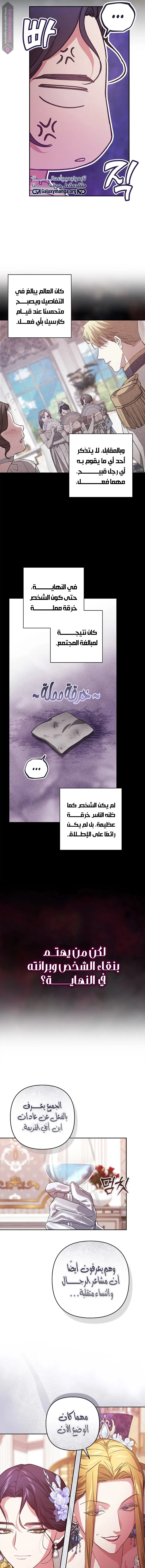 الصفحة 3