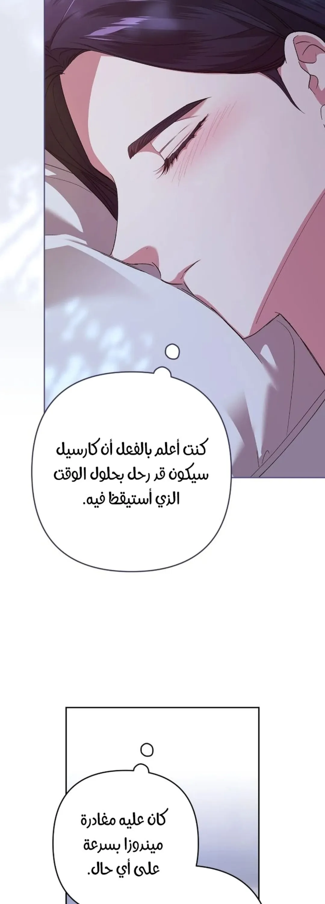 الصفحة 25