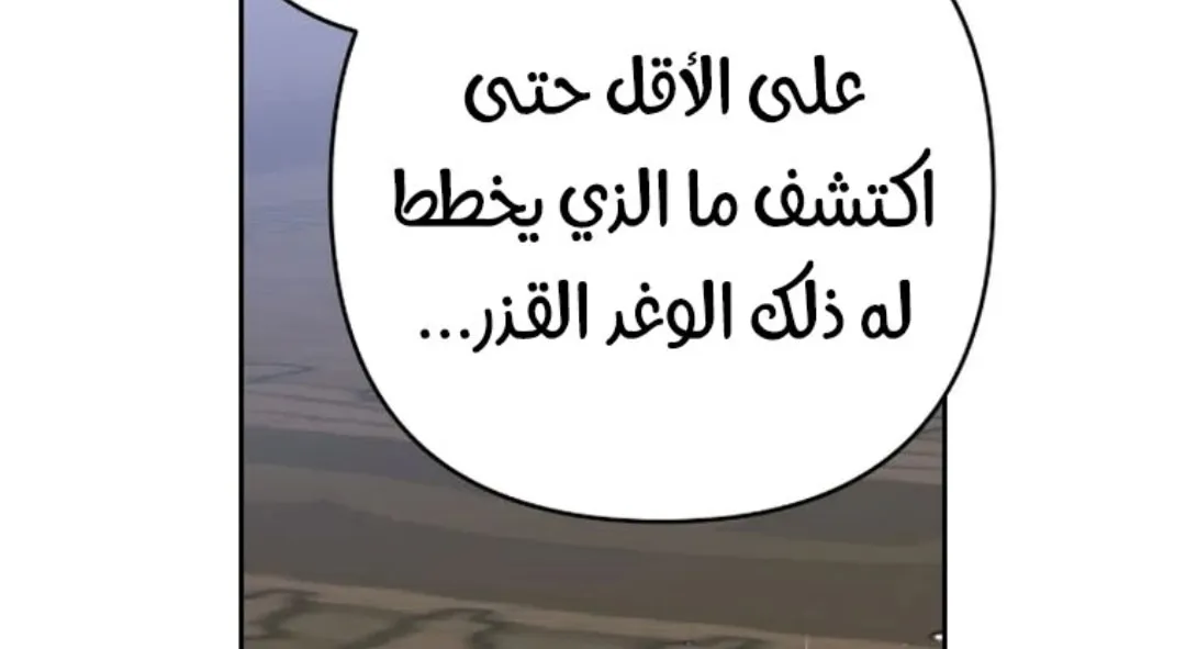 الصفحة 26