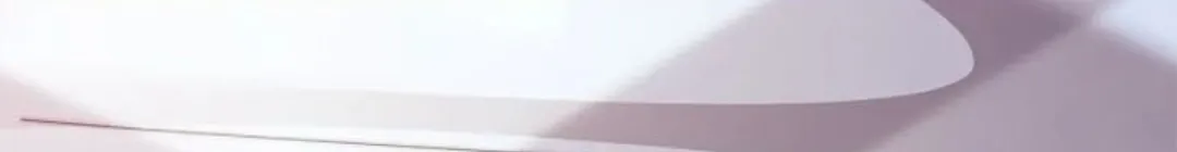 الصفحة 39