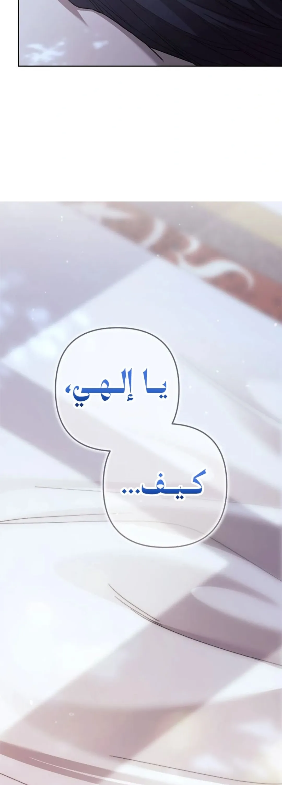 الصفحة 48