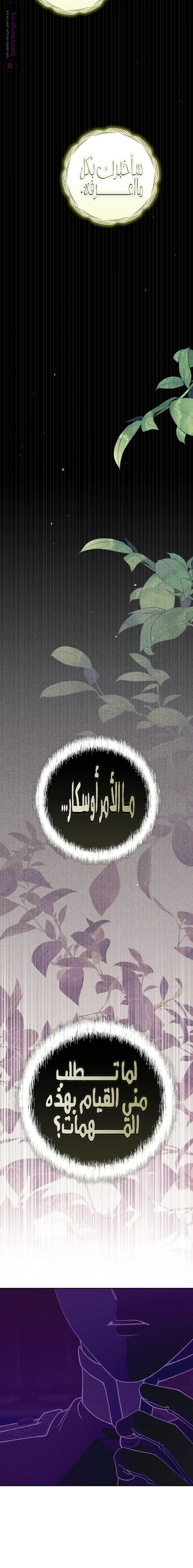 الصفحة 19