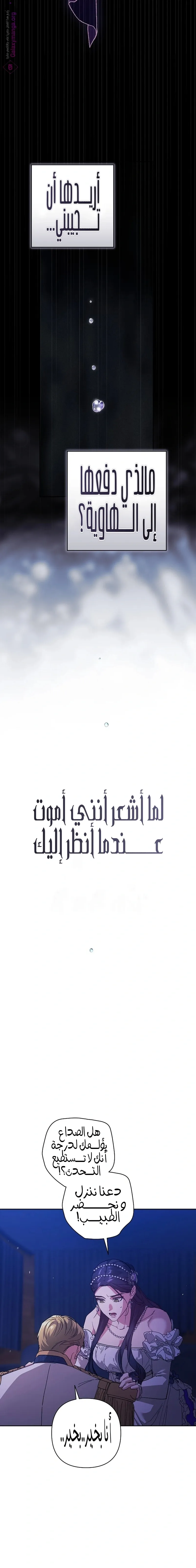 الصفحة 21