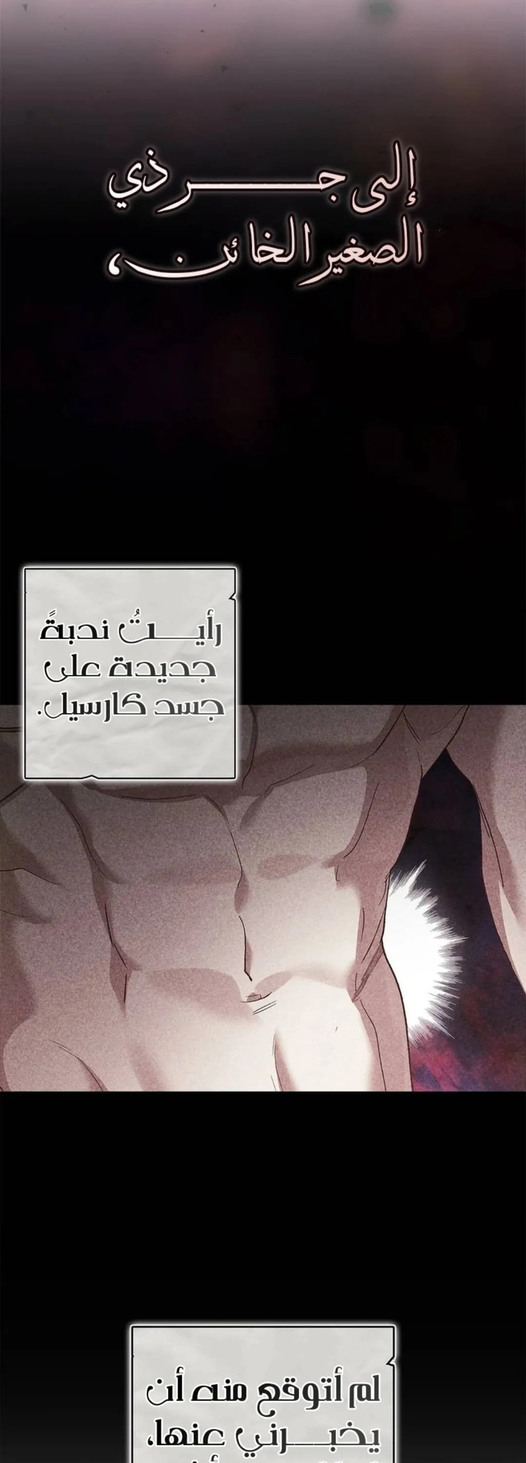 الصفحة 20