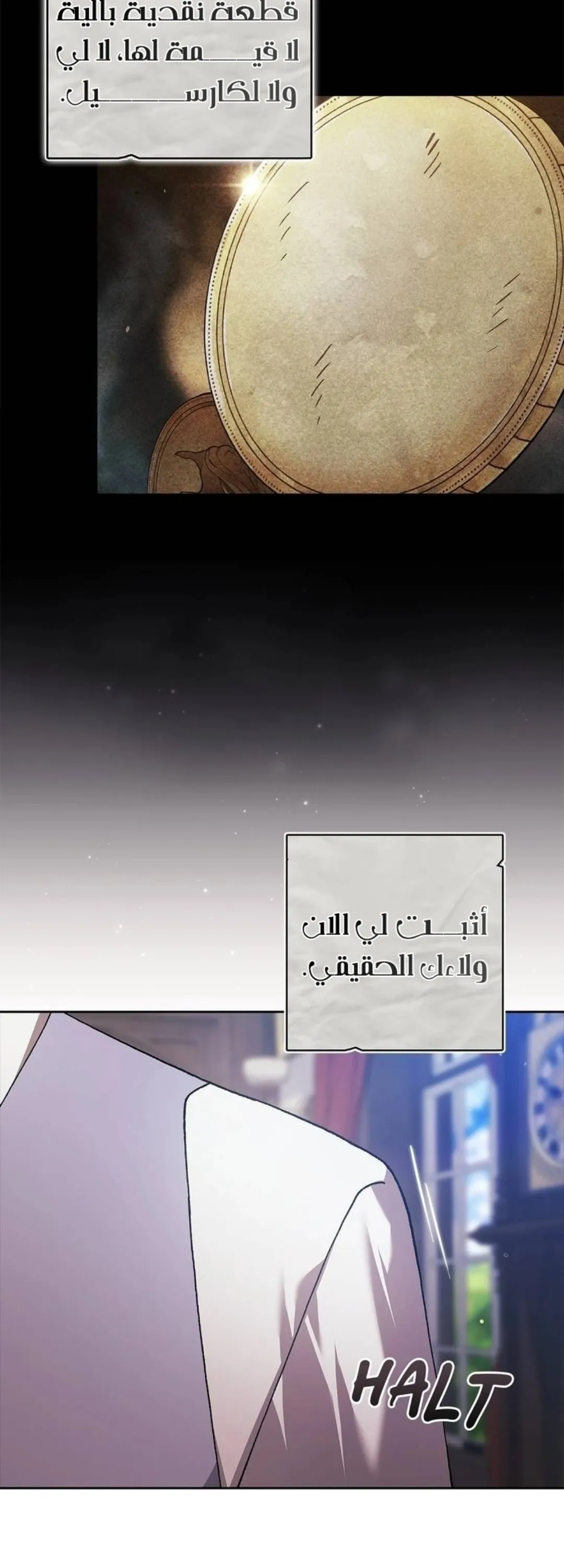 الصفحة 25