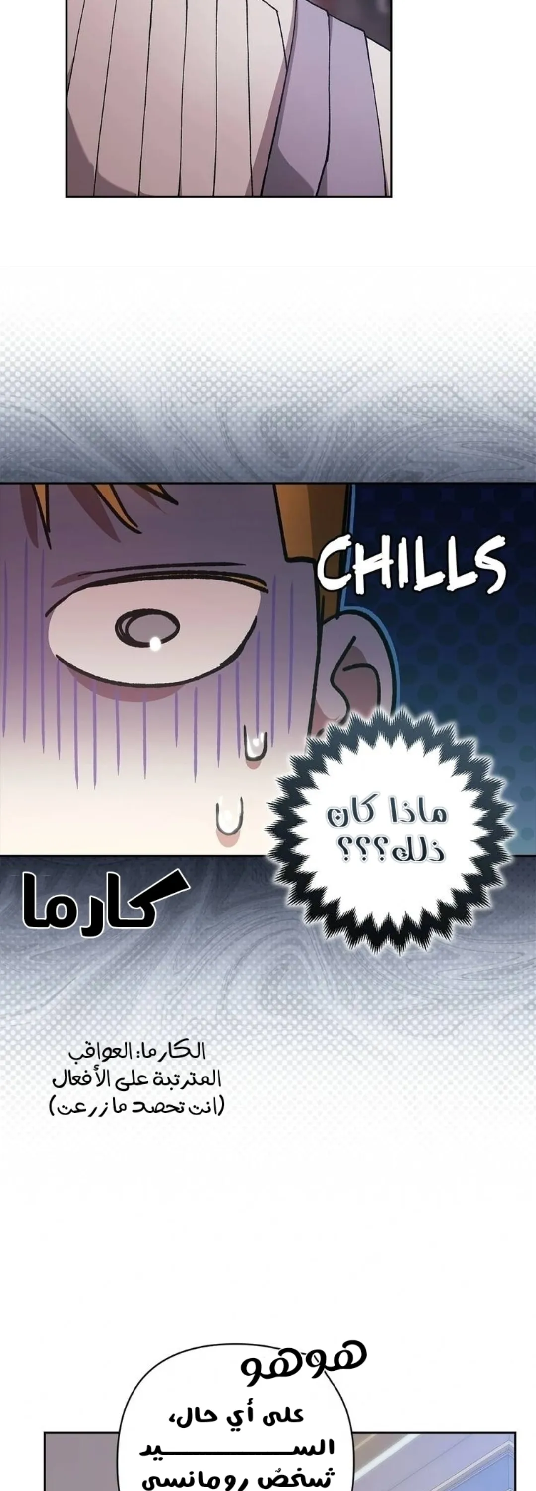 الصفحة 27