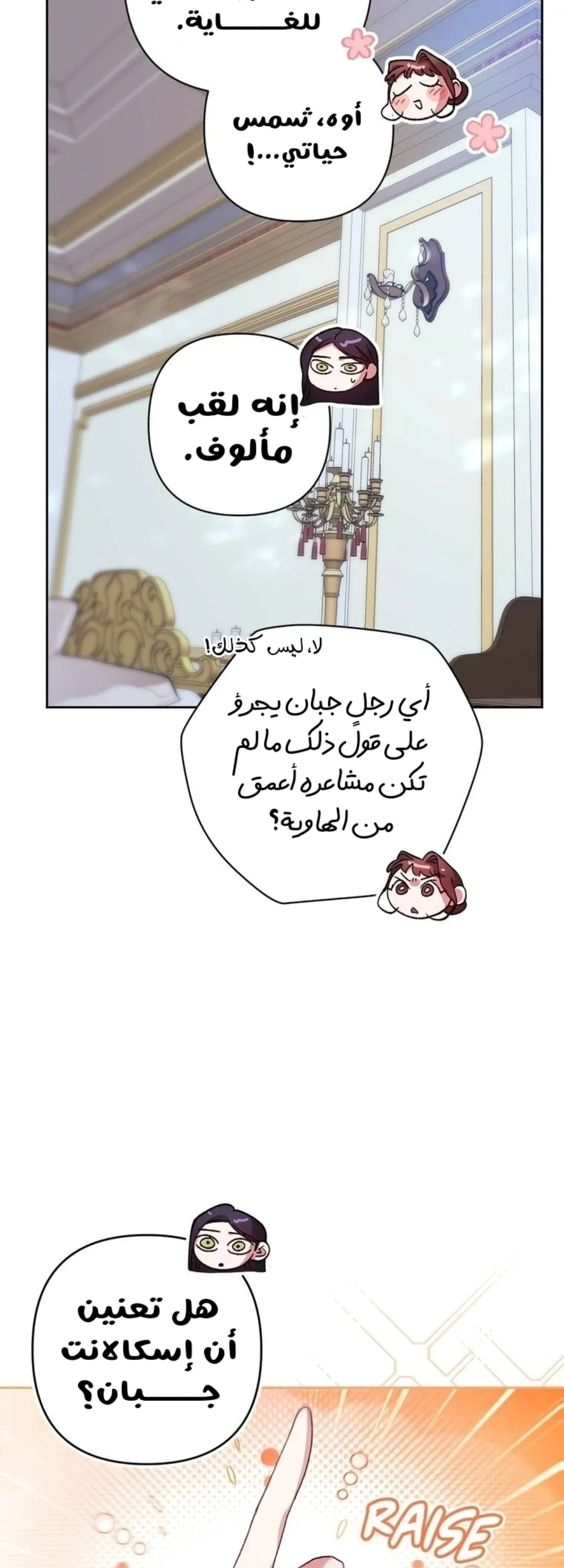 الصفحة 28