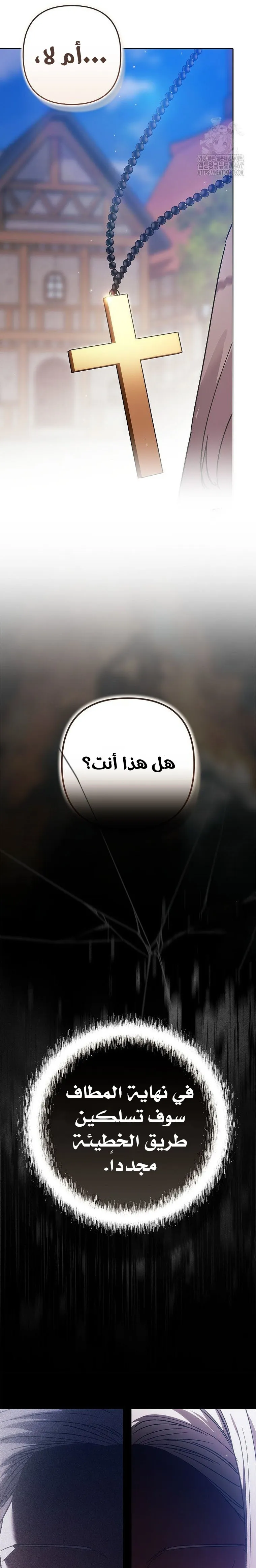 الصفحة 13