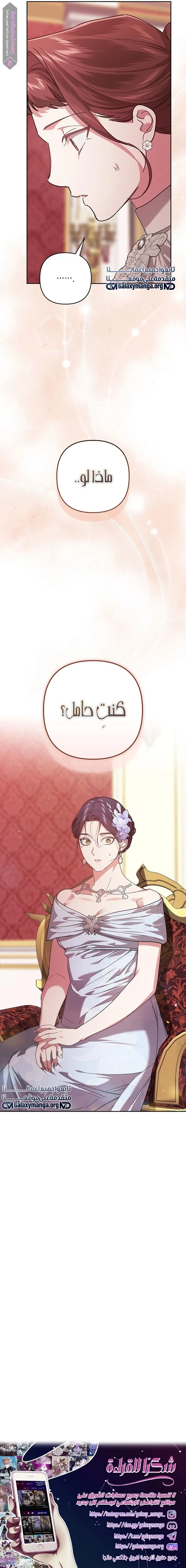 الصفحة 20