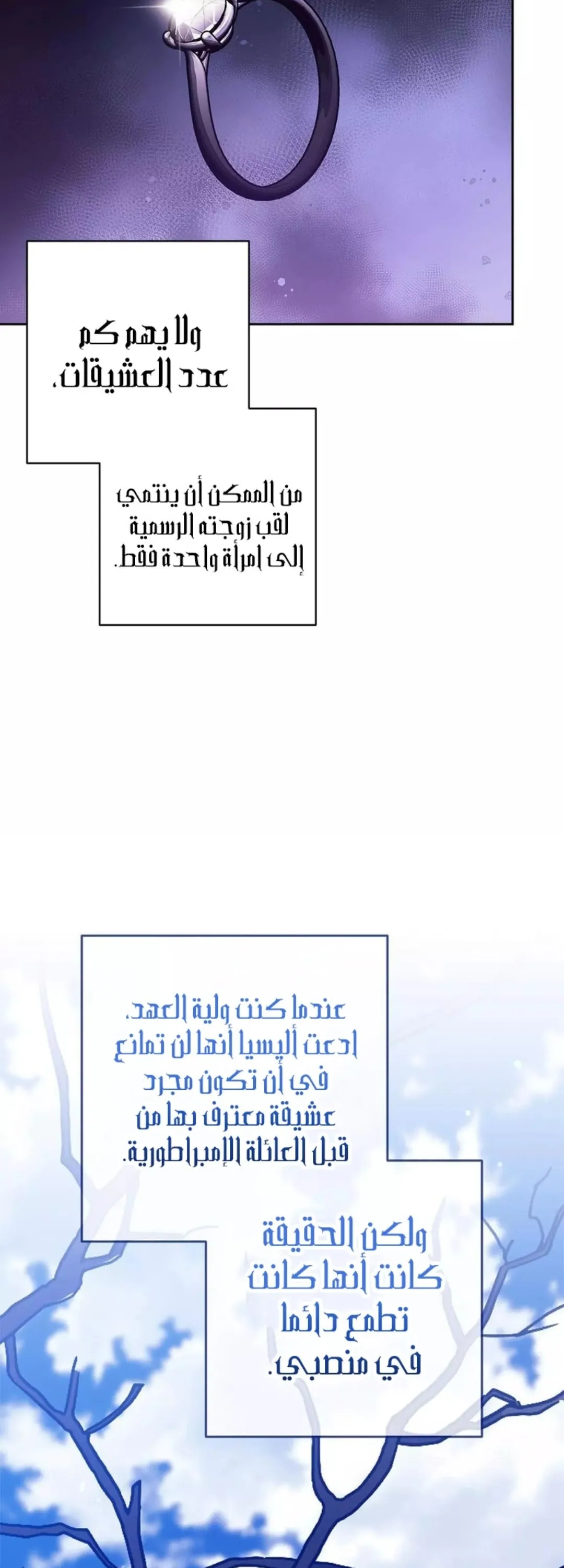 الصفحة 17