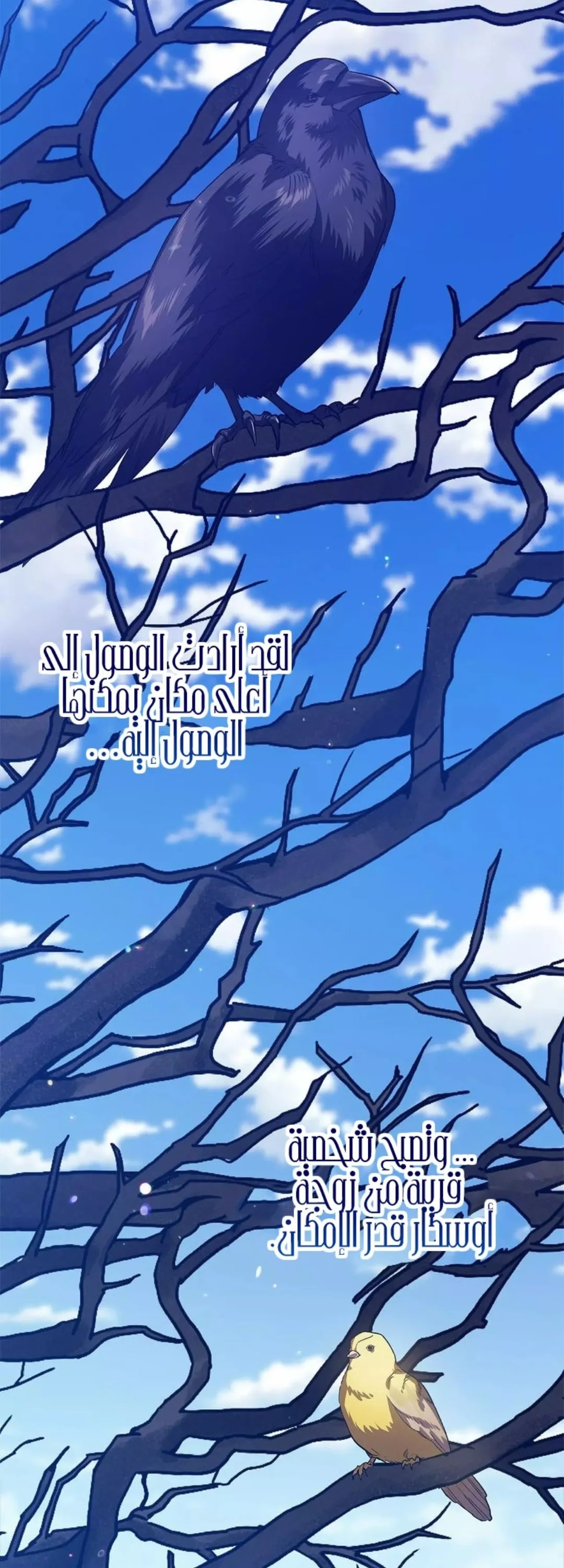 الصفحة 18