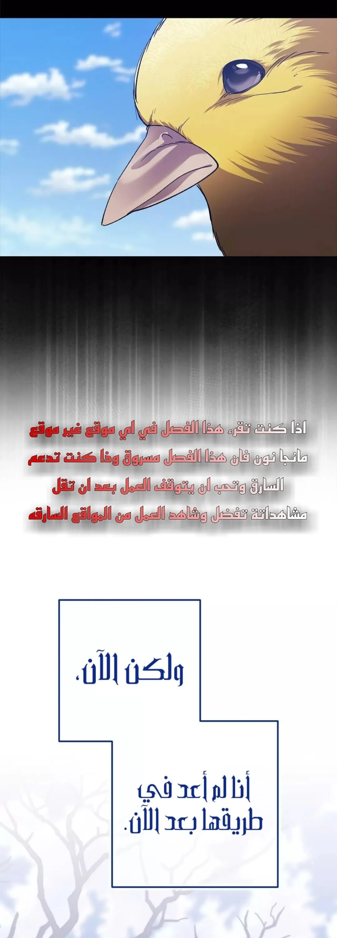 الصفحة 21
