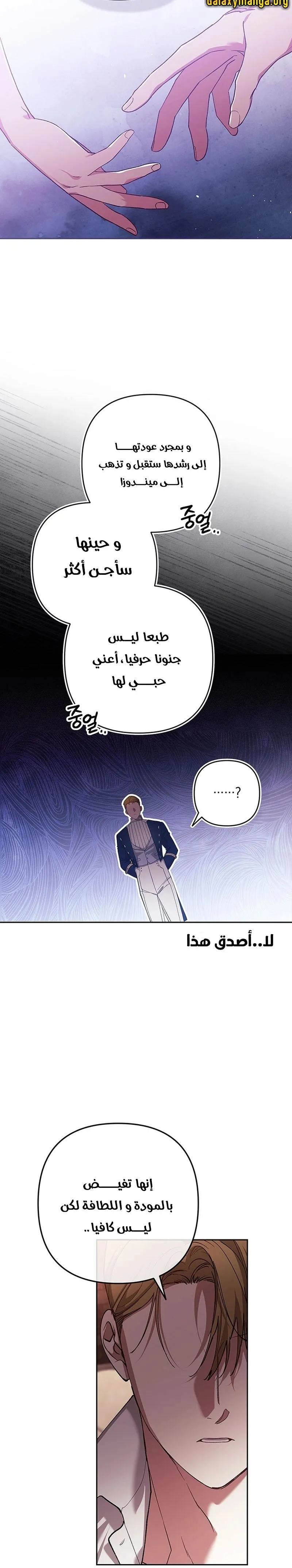 الصفحة 27