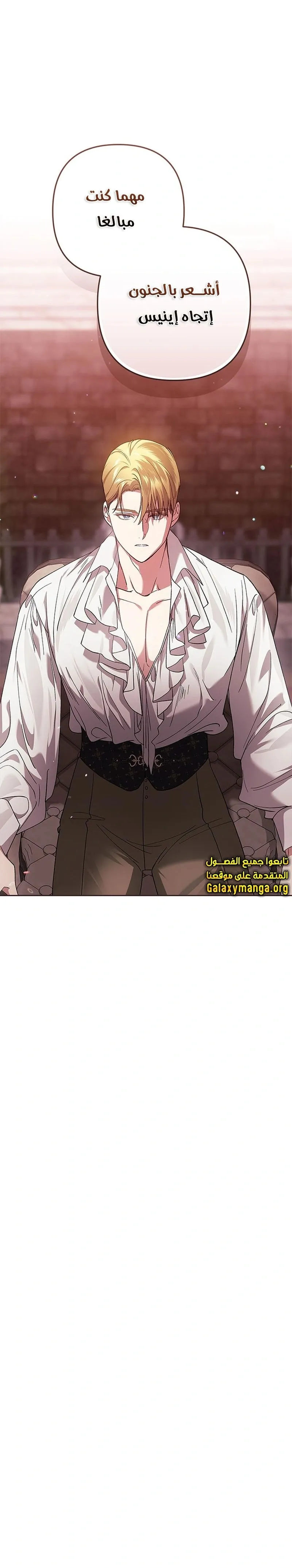 الصفحة 28