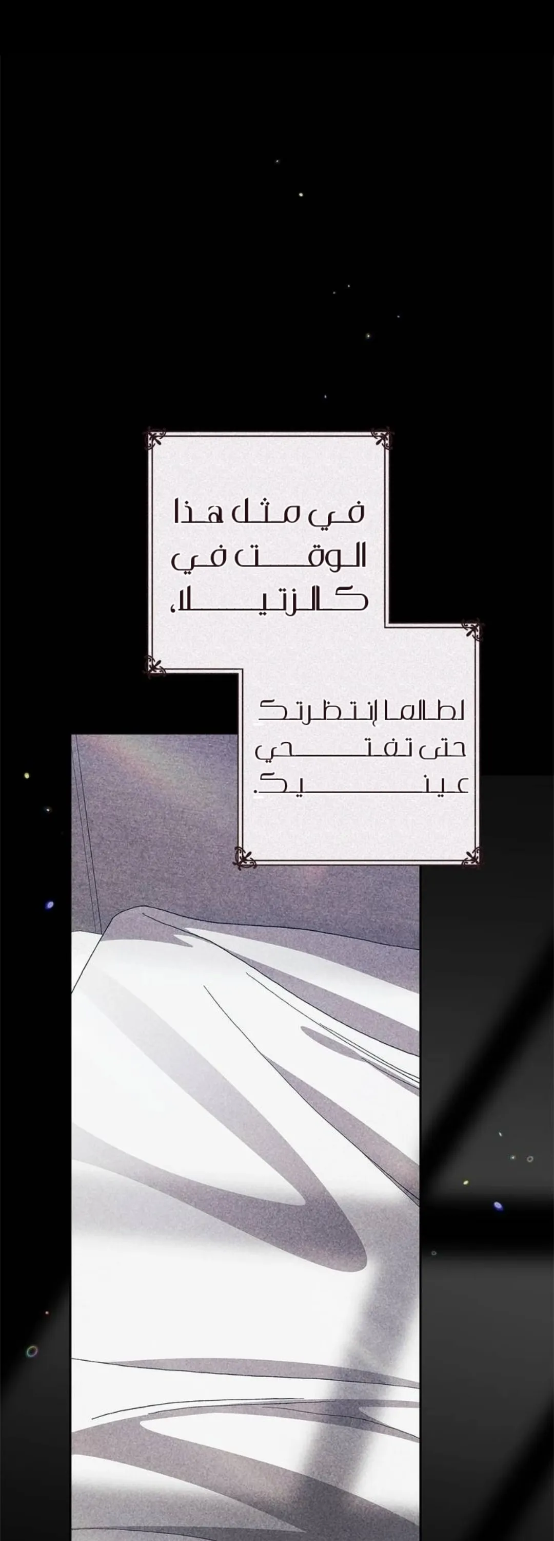 الصفحة 40