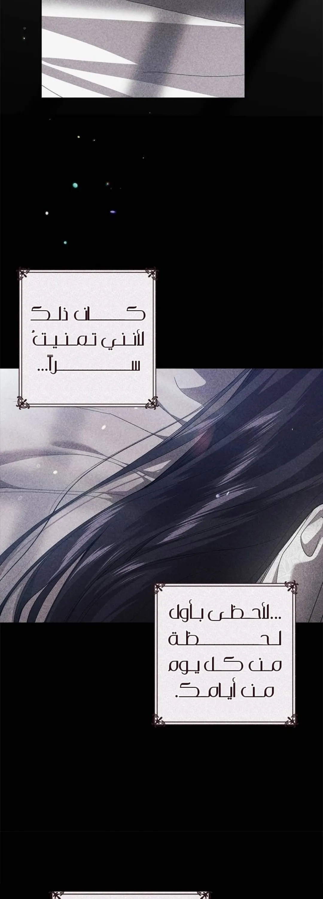 الصفحة 41