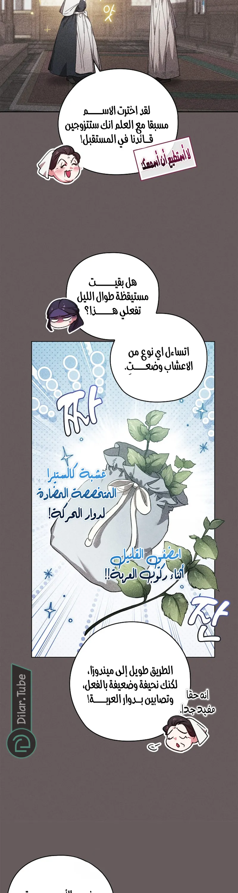 الصفحة 16