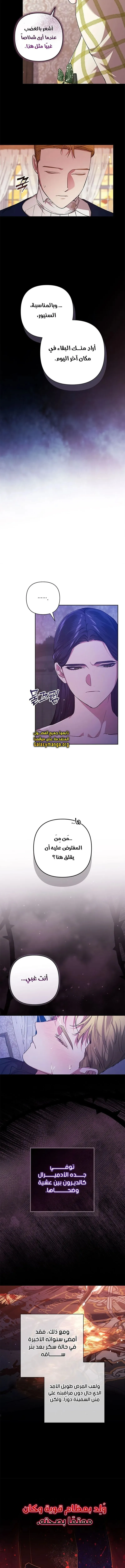 الصفحة 12