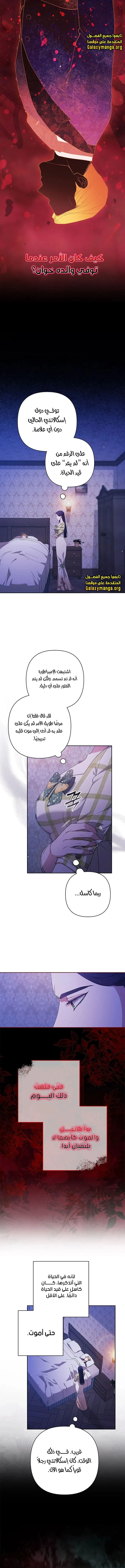 الصفحة 13