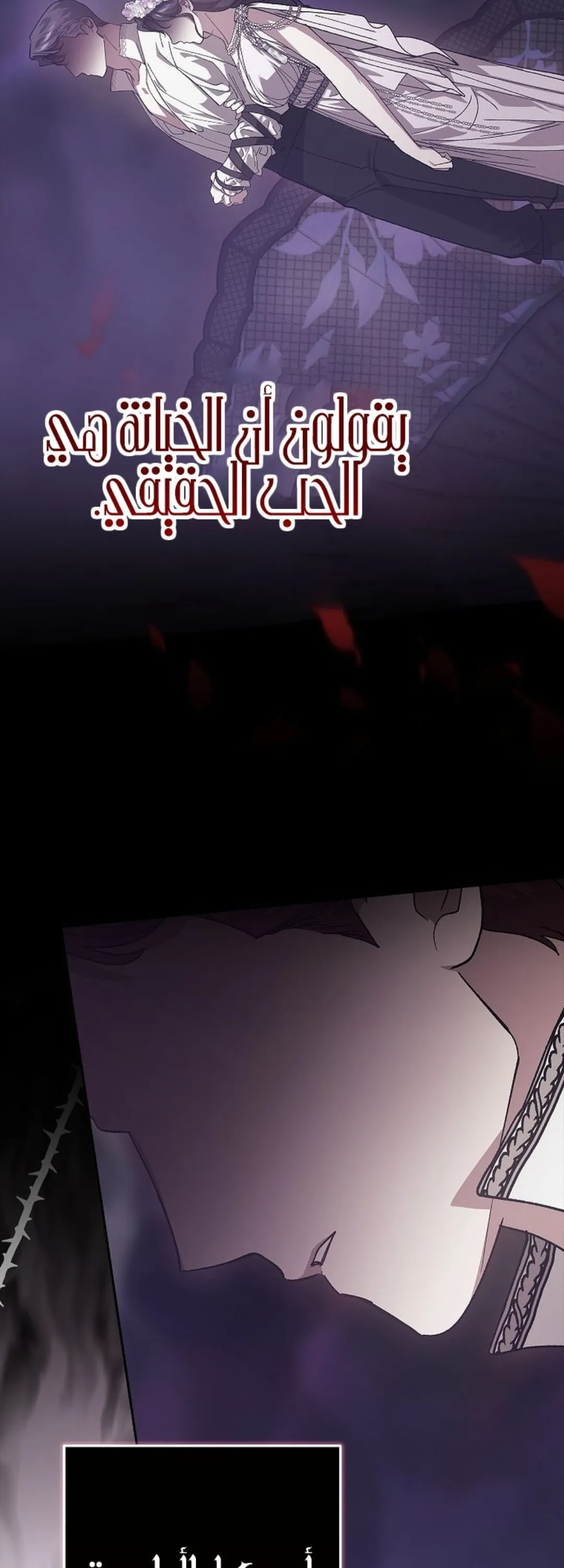 الصفحة 20