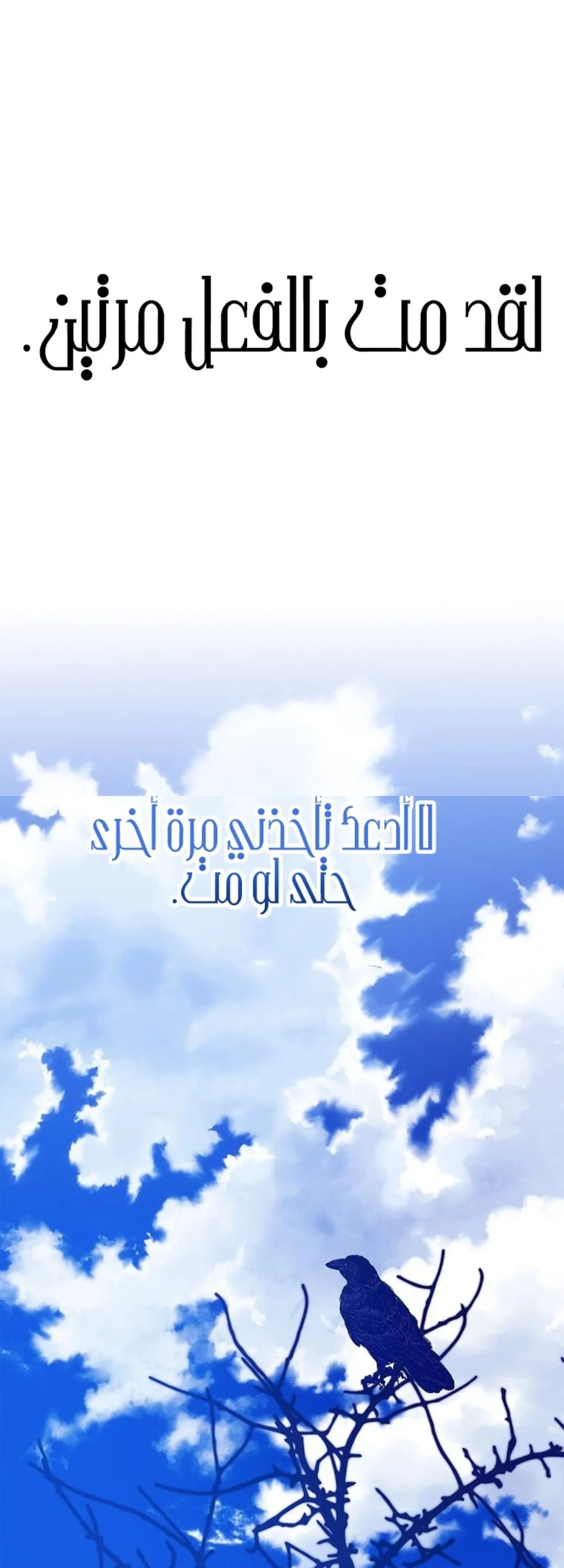 الصفحة 63