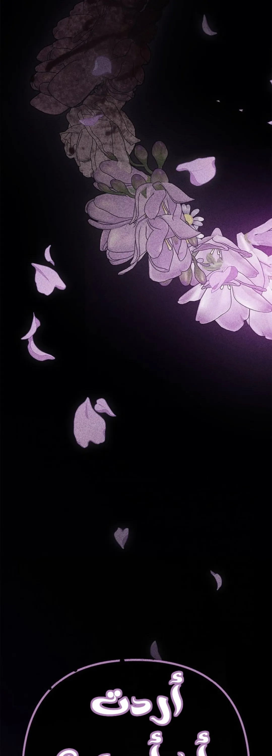 الصفحة 77