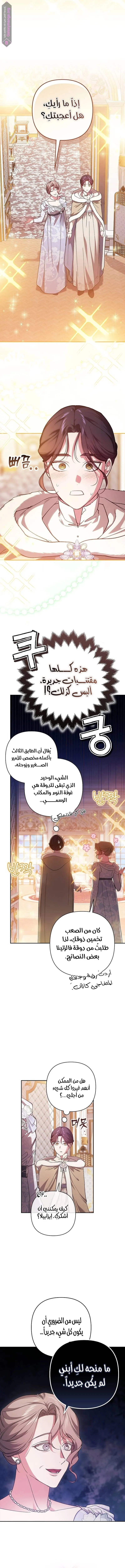 الصفحة 17